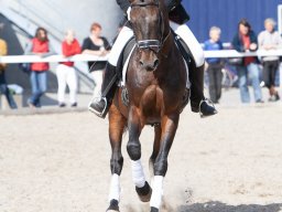 IMG_8058_web